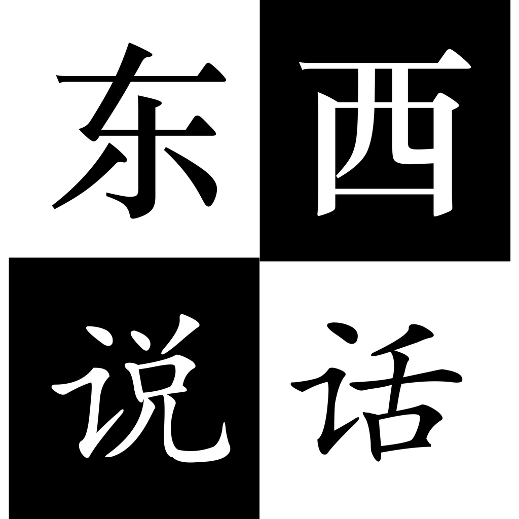 东西说话 App 图标
